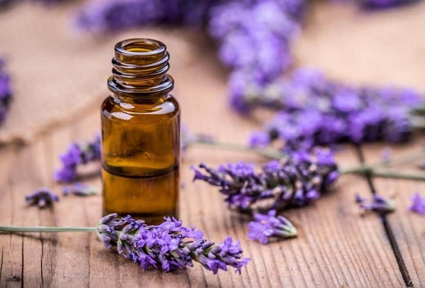 چگونه اسطوخودوس را مصرف کنیم تا اثر بخشی بهتری داشته باشد؟