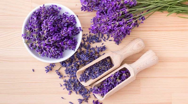 اسطوخودوس برای بیخوابی