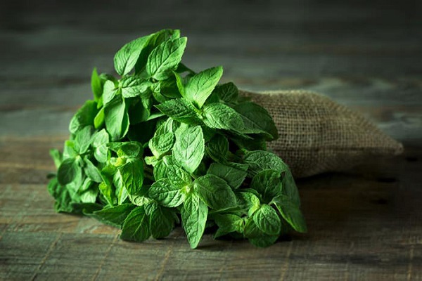 خواص چای و دمنوش نعناع