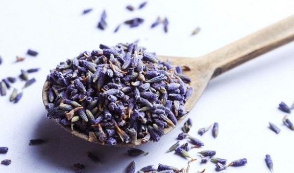 با طبع و مصلح اسطوخودوس آشنا شوید