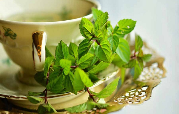 مصرف چای نعناع برای زنان چه مزایایی دارد؟