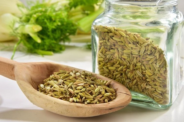 رازیانه برای لاغری را چگونه باید بخوریم تا کاهش وزن داشته باشیم؟