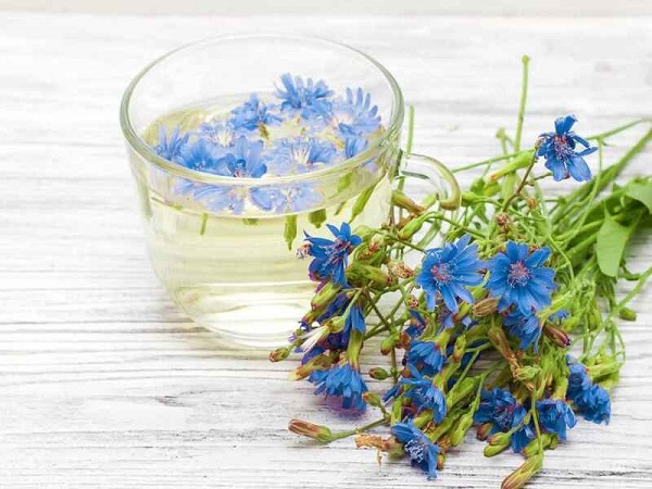 عوارض جانبی کاسنی