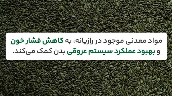 بهترین زمان خوردن رازیانه کدام است؟