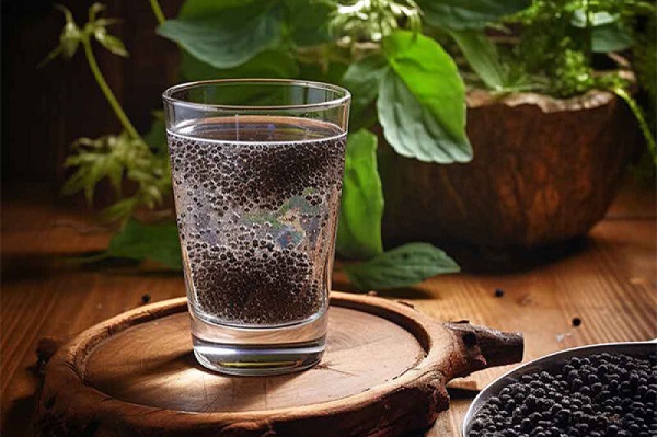 بهترین زمان مصرف تخم شربتی برای لاغری کی است؟