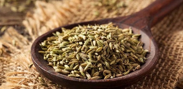 بهترین زمان خوردن رازیانه کدام است؟